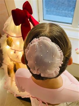 H290/1 Bun Net by Preciosa, mesh